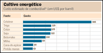 Pinhão-manso, a inusitada opção para biodiesel