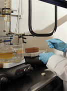 Novos usos para os co-produtos do biodiesel