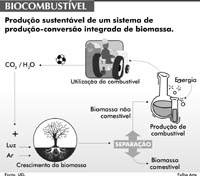 Gasolina mais eficiente com biocombustível
