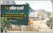 Especial Ceará: resistência no campo põe em risco o Programa do Biodiesel