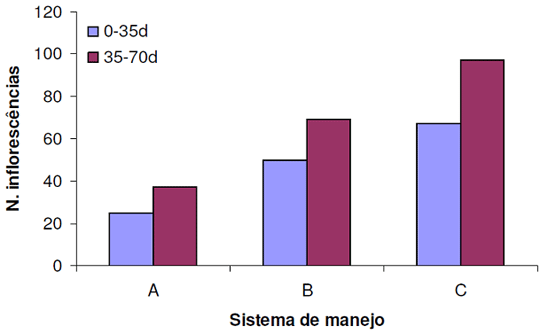 Sistema de manejo