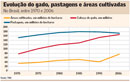 Área para produção de biocombustíveis pode subir 54 milhões de hectares até 2014