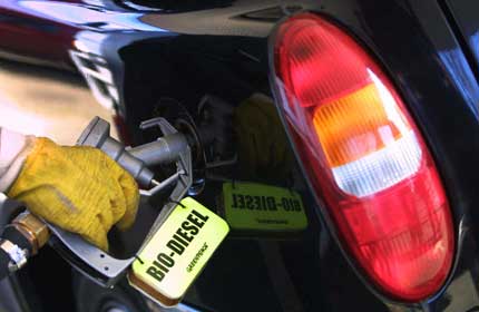 biodiesel indonesia_190913
