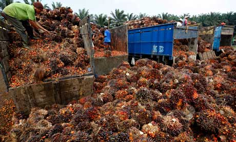 Indonesia OMC_221113