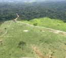 Bruno Taitson - WWF-Brasil