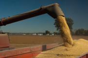Divulgação - United Soybean Board