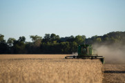 Divulgação - United Soybean Board