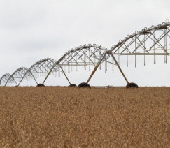 Tony Oliveira - Sistema CNA/Senar