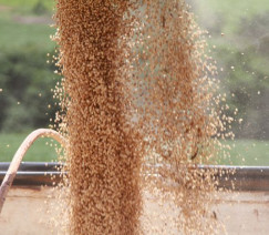 Tony Oliveira - Sistema CNA/Senar