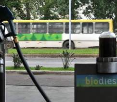 Dviulgação - Agência Brasil