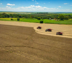 Wenderson Araújo - Sistema CNA/Senar