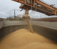 Divulgação - Portos do Paraná