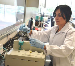 Divulgação - Embrapa