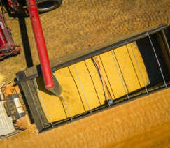 Divulgação - Sistema CNA/Senar