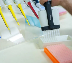 Divulgação - Embrapa