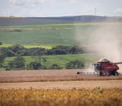 Wenderson Araújo - Sistema CNA/Senar