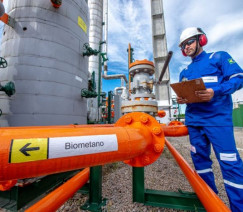 Divulgação - Barbosa Neto