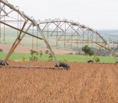 Tony Oliveira - Sistema CNA/Senar