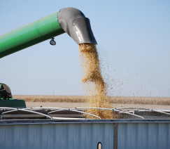 Divulgação - United Soybean Board