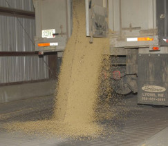 Divulgação - United Soybean Board