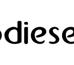 biodieselbr.com