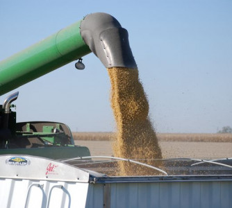 Divulgação - United Soybean Board