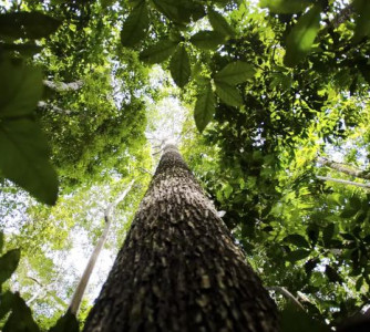 Marcelo Camargo - Agência Brasil