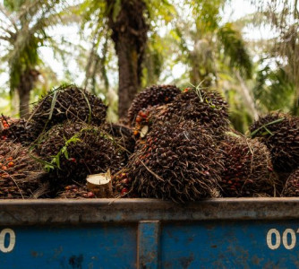 Wenderson Araújo - Sistema CNA/Senar