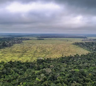 Divulgação - Polícia Federal