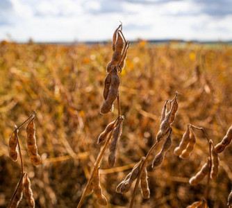 Wenderson Araújo - Sistema CNA/Senar