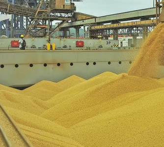 Divulgação - Agência Estadual de Notícias