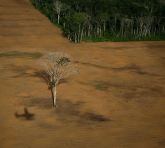 Daniel Beltrá - Greenpeace