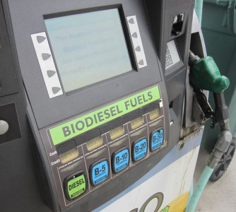 Divulgação - United Soybean Board