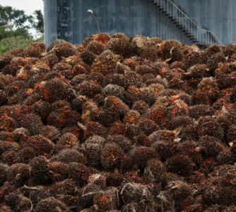 Wenderson Araújo - Sistema CNA/Senar