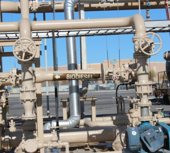 Divulgação - United Soybean Board