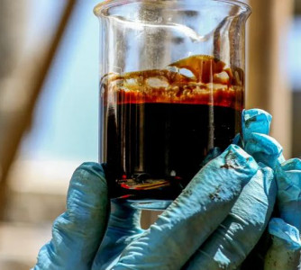 Tânia Rego - Agência Brasil