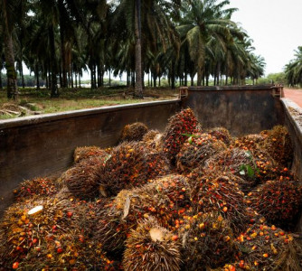 Wenderson Araújo - Sistema CNA/Senar