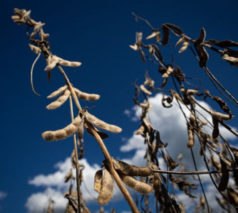 Wenderson Araújo - Sistema CNA/Senar
