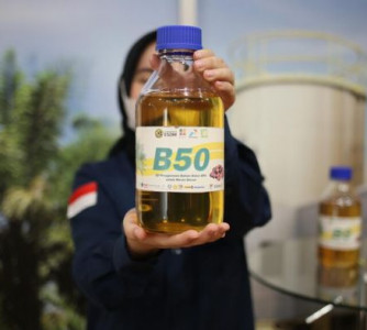 Divulgação - Ministério da Energia e Recursos Minerais da Indonésia