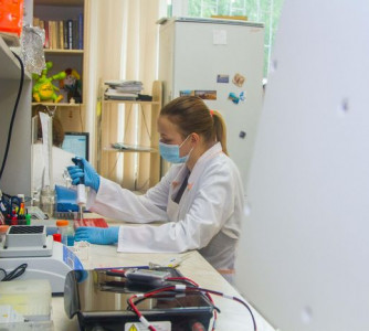 Михаил Докукин - Pixabay