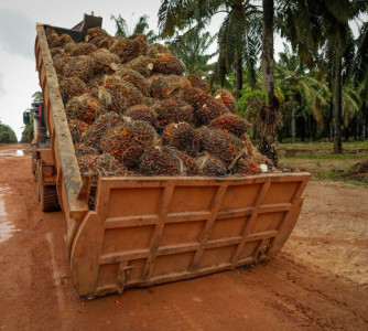 Wenderson Araújo - Sistema CNA/Senar