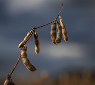 Wenderson Araújo - Sistema CNA/Senar