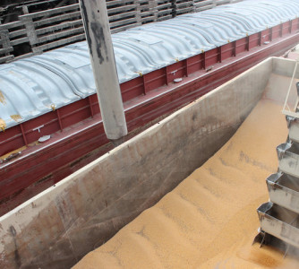 United Soybean Board