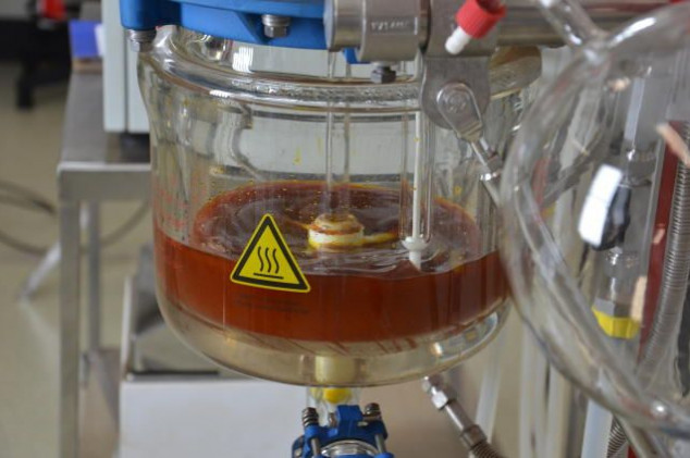 Vivian Chies - Embrapa