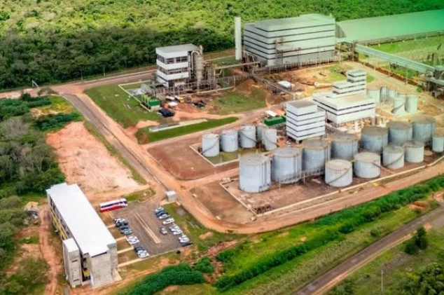 Divulgação - Fênix