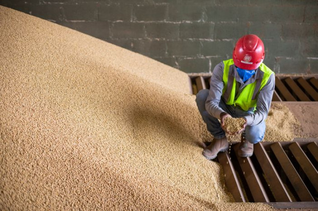 Wenderson Araújo - Sistema CNA/Senar