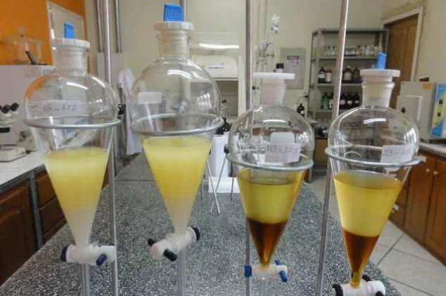 Reprodução - Researchgate