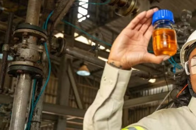 Divulgação - Cargill