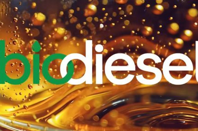 Reprodução - FPBio