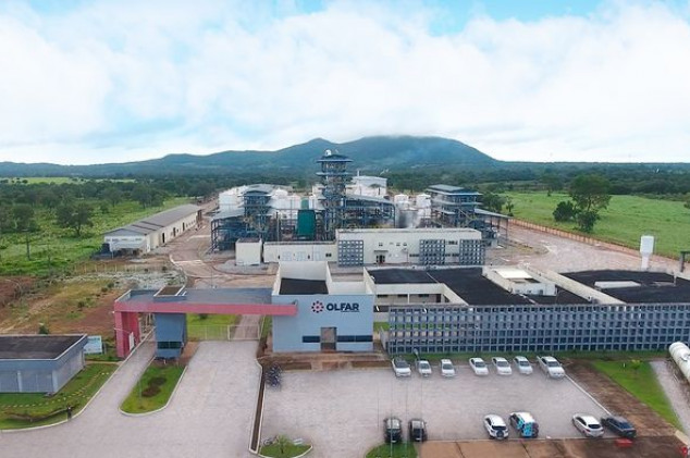 Reprodução - Olfar